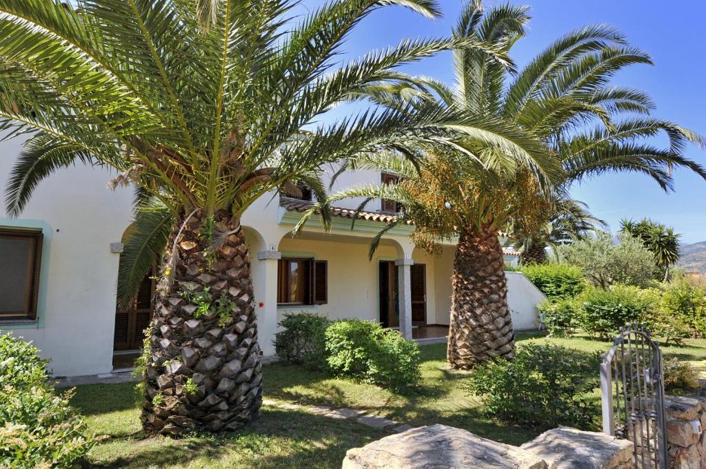 Iss Travel, Ambra Apartments - 800 M From La Cinta Beach San Teodoro  Værelse billede